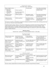 Raumenų lentelė 20 puslapis