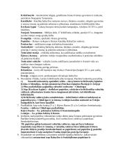 Viduramžių klausimynas 2 puslapis