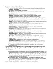 Viduramžių klausimynas 4 puslapis