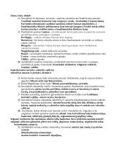 Viduramžių klausimynas 5 puslapis