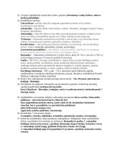 Viduramžių klausimynas 6 puslapis