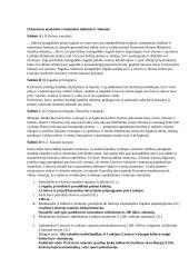 Kontrolinis darbas LDK XIII –XVI a. 2 puslapis