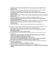 Kontrolinis darbas LDK XIII –XVI a. 3 puslapis