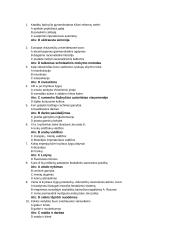 Viduramžiai. Testas