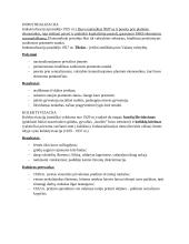 Bolševikų įsigalėjimas 9 puslapis