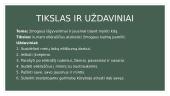 Lietuvių kalbos kūrybinis darbas „Baimė pamilti“ 2 puslapis