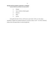 Baimė pamilti. Lietuvių kalbos kūrybinis darbas 11 puslapis