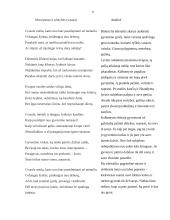 Baimė pamilti. Lietuvių kalbos kūrybinis darbas 9 puslapis