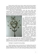 Žemaitijos kryžiai 5 puslapis