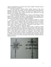 Žemaitijos kryžiai 7 puslapis