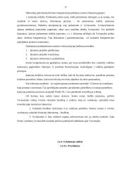 Lietuvos Respublikoje egzistuojanti politinė sistema 17 puslapis