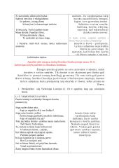 Barokas. Sarbievijus "Janui Libinijui" 2 puslapis