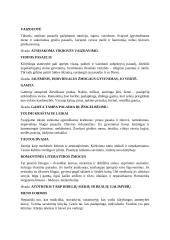 Romantizmas (bendrai) 4 puslapis