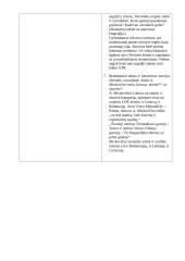 Ponas Tadas - analizė 3 puslapis