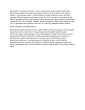 Maironio poezija ir asmenybė 2 puslapis