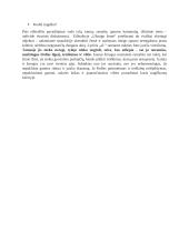 "Užmigo žemė" analizė 2 puslapis