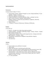 Epochų ir autorių bruožai