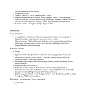 Epochų ir autorių bruožai 3 puslapis