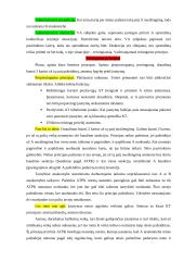 Administracinės teisės pagrindai 16 puslapis