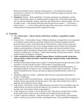 Pilnas VBE konspektas 14 puslapis