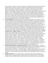 Pilnas VBE konspektas 18 puslapis