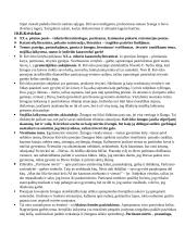 Pilnas VBE konspektas 19 puslapis