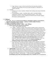 Pilnas VBE konspektas 5 puslapis