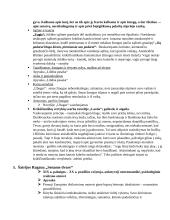 Pilnas VBE konspektas 6 puslapis