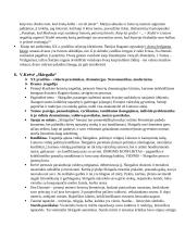 Pilnas VBE konspektas 9 puslapis