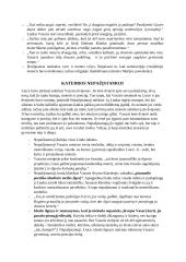 Išsamiai apie "Altorių šėšėly" 5 puslapis