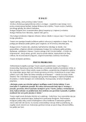 Išsamiai apie "Altorių šėšėly" 9 puslapis