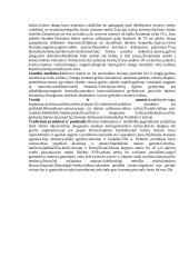 Antropologijos teorija 8 puslapis