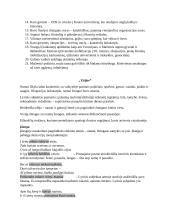 Vytautas Mačernis - Vizijos 2 puslapis