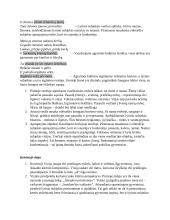 Vytautas Mačernis - Vizijos 3 puslapis