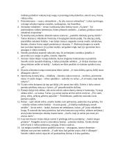 Vytautas Mačernis - Vizijos 4 puslapis