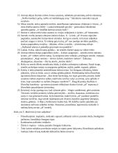 Vytautas Mačernis - Vizijos 5 puslapis