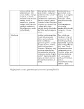 Šūvis po Marazyno ąžuolu 3 puslapis