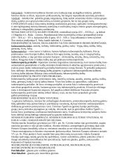 Kultūros antropologija 2 puslapis