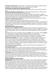 Kultūros antropologija 11 puslapis