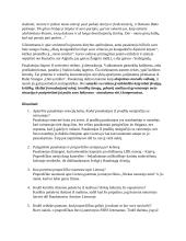 Jurgis Kunčinas - Tūla analizė 4 puslapis