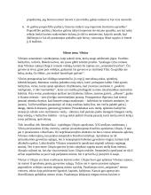 Jurgis Kunčinas - Tūla analizė 5 puslapis