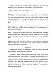 Asmenybės samprata bei struktūra 3 puslapis