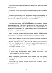 Asmenybės samprata bei struktūra 4 puslapis