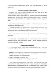 Asmenybės samprata bei struktūra 6 puslapis