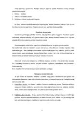 Asmenybės samprata bei struktūra 9 puslapis