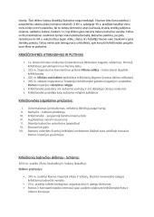 Christianizacija teorija 2 puslapis