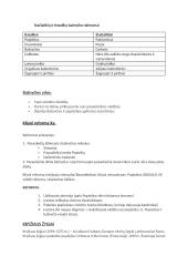 Christianizacija teorija 3 puslapis