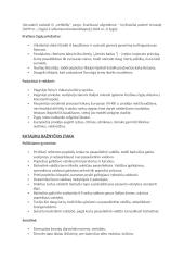 Christianizacija teorija 4 puslapis