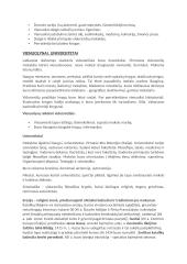 Christianizacija teorija 5 puslapis