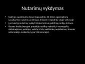 Didysis Vilniaus Seimas 1905m. 12 puslapis